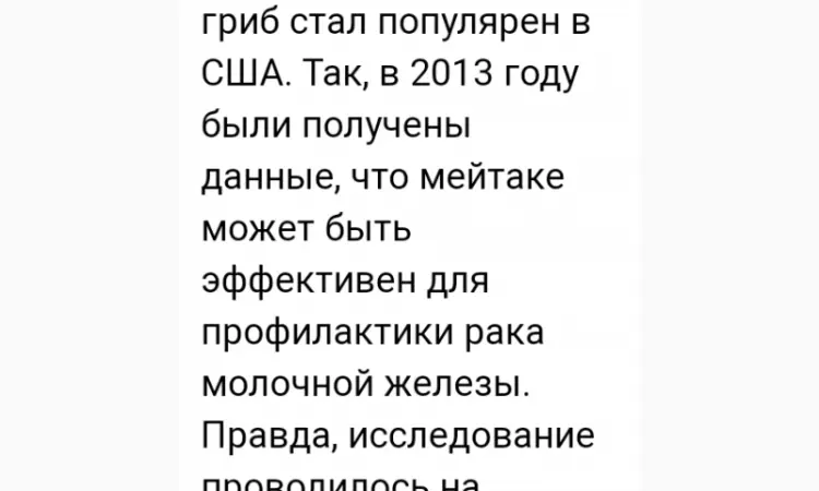 Лікувальний Мейтаке лісовий гриб сушений - фото № 7