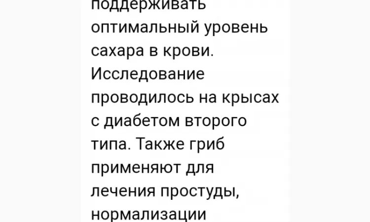 Лікувальний Мейтаке лісовий гриб сушений - фото № 9