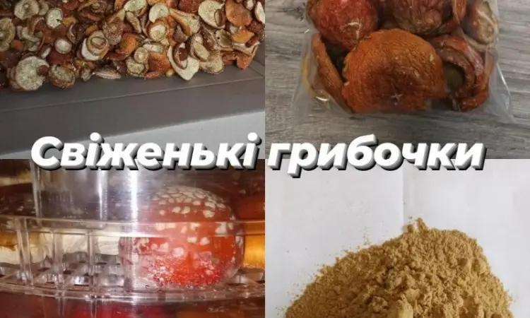 Мухомори мелені опт - фото № 2