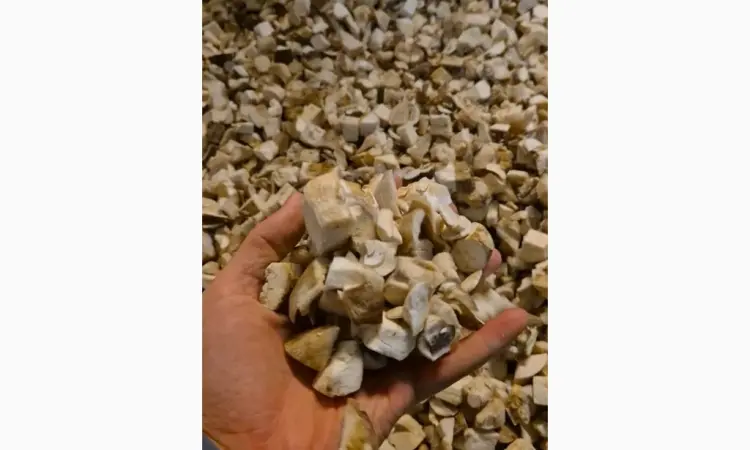 Продаж.Білі гриби морожені ( кубик 1.5×1.5 ) - фото № 2