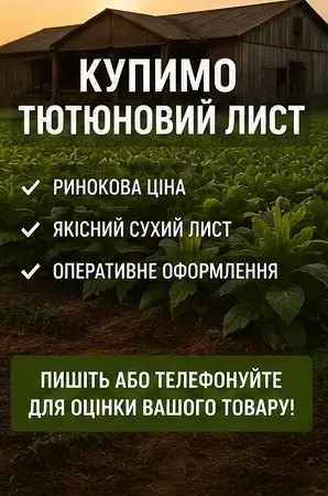 Купимо тютюновий лист за ринковою ціною - фото № 1