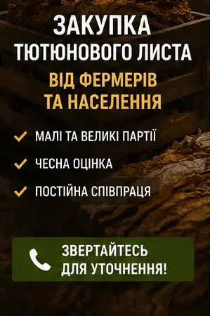 Закупка тютюнового листа від населення та фермерів - фото № 1