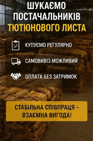 Шукаємо постачальників тютюнового листа - фото № 1
