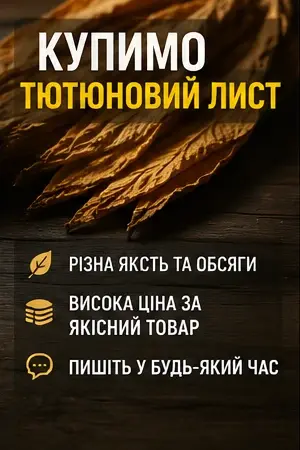 На постійній основі купимо лист тютюну - фото № 1