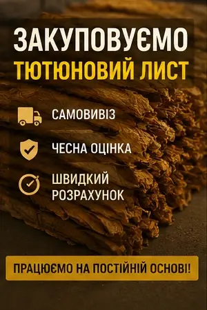 Закуповуємо тютюновий лист по хорошій ціні - фото № 1