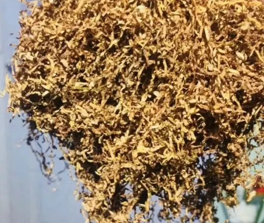 Продам табак Качество высшее Вірджинія Мальборо Винстон Міленіум Берлей - фото № 3