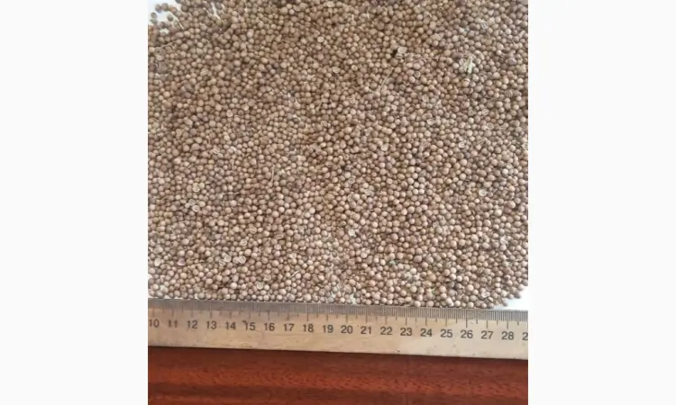 Продам кориандр 95 тн - фото № 1