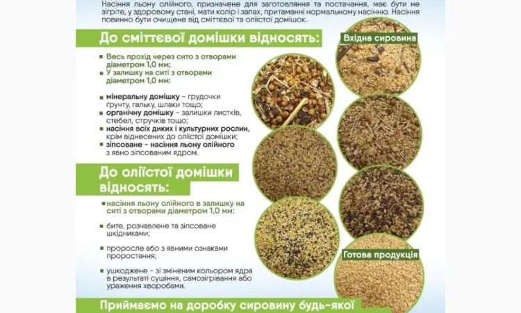 Підготовка насіння льону - фото № 1