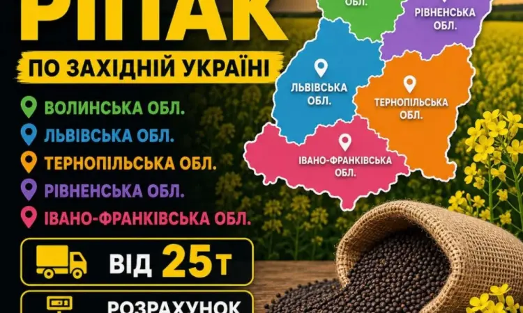 Куплю ріпак по західній Україні. Розрахунок на вагах - фото № 1