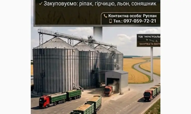 Компанія купить Ріпак та сонях! Працюємо з посередниками! Вигідні умови - фото № 1