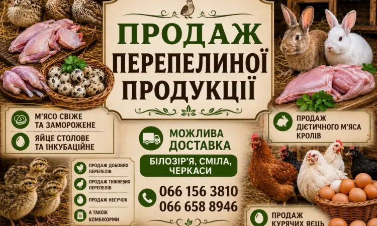 Продам перепелину продукцію яйце мясо - фото № 1