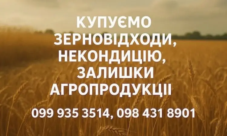 Закуповуємо некондиційне зерно та побічну агропродукцію - фото № 1
