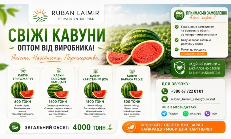 Продам арбуз оптом от производителя | сорта Грин Джар F1 - фото № 1