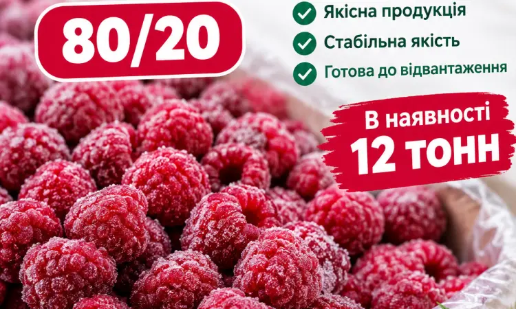 Заморожена малина 80/20 - фото № 3