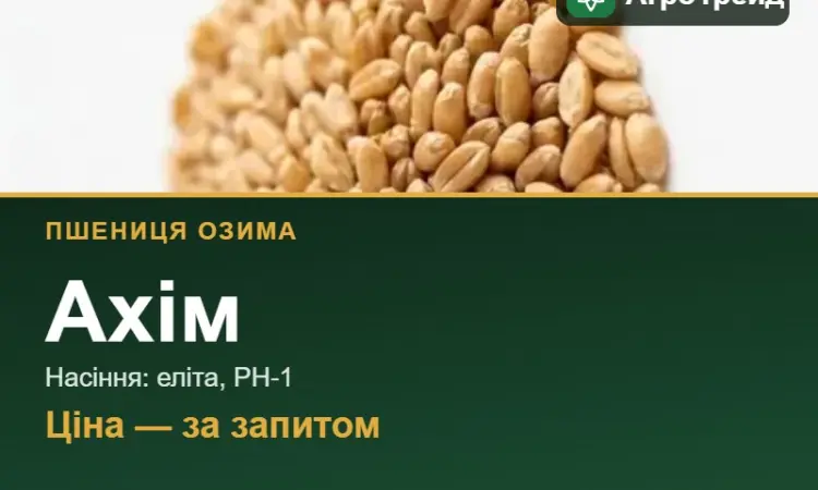 Пшениця Ахім — насіння еліта, РН-1 - фото № 1