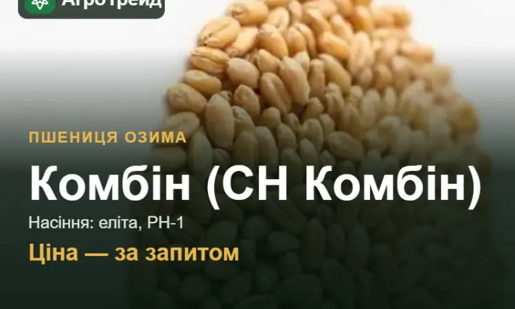 Пшениця Комбін (СН Комбін) — насіння еліта, РН-1 - фото № 1