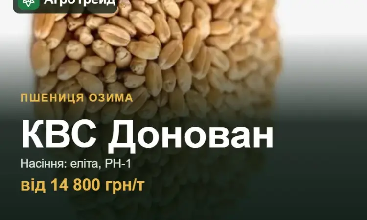 Пшениця КВС Донован — насіння, від 14 800 грн/т - фото № 1