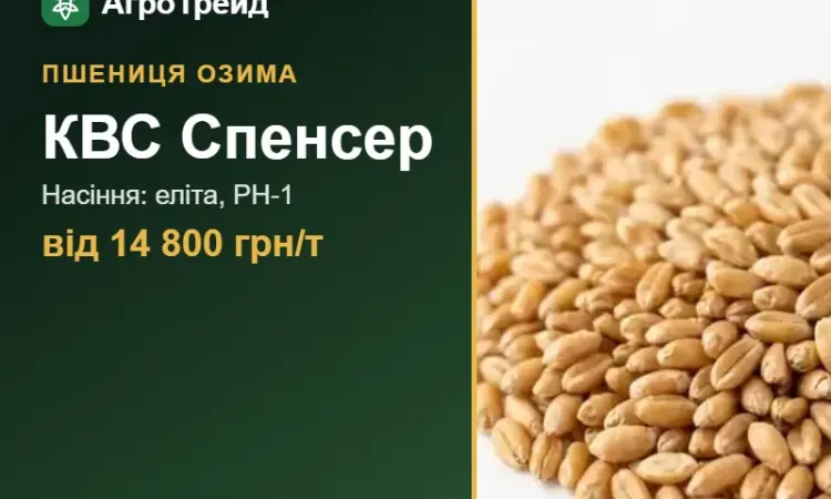 Пшениця КВС Спенсер — насіння, від 14 800 грн/т - фото № 1