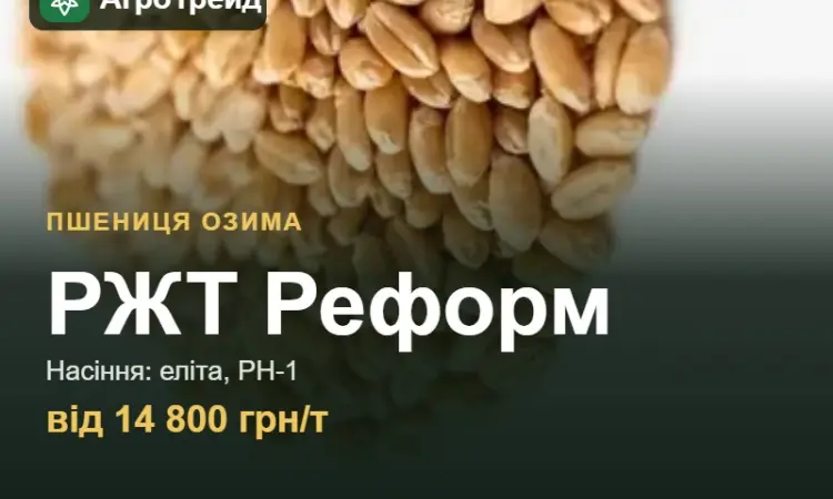 Пшениця РЖТ Реформ для посіву, від 14 800 грн/т - фото № 1