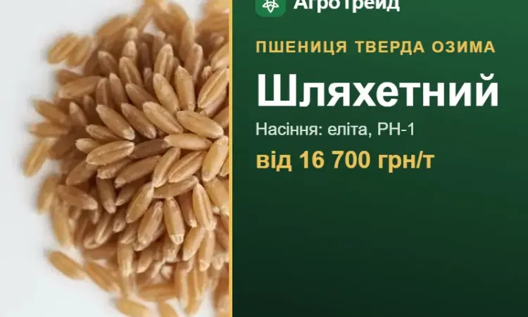 Посівна пшениця Шляхетний, від 16 700 грн/т - фото № 1