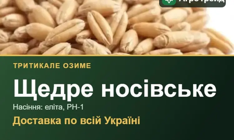 Тритикале Щедре носівське для посіву - фото № 1