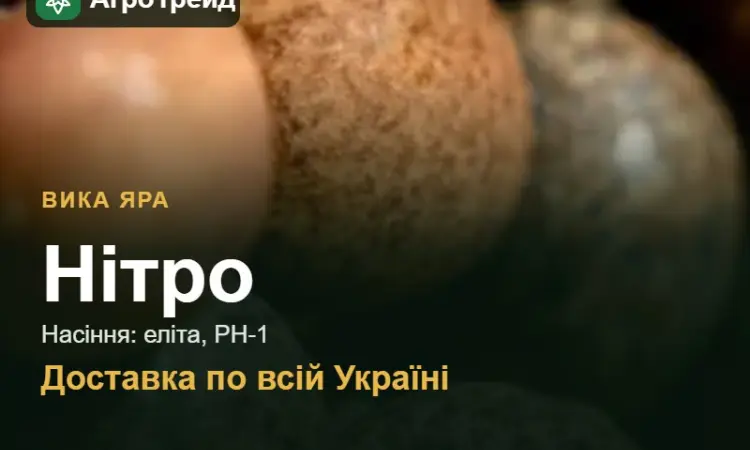 Купити вику Нітро на посів - фото № 1