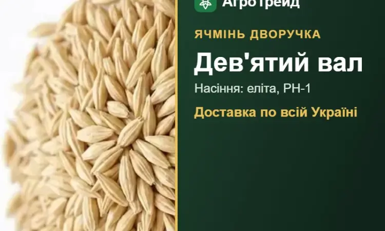Купити ячмінь Дев'ятий вал на посів - фото № 1