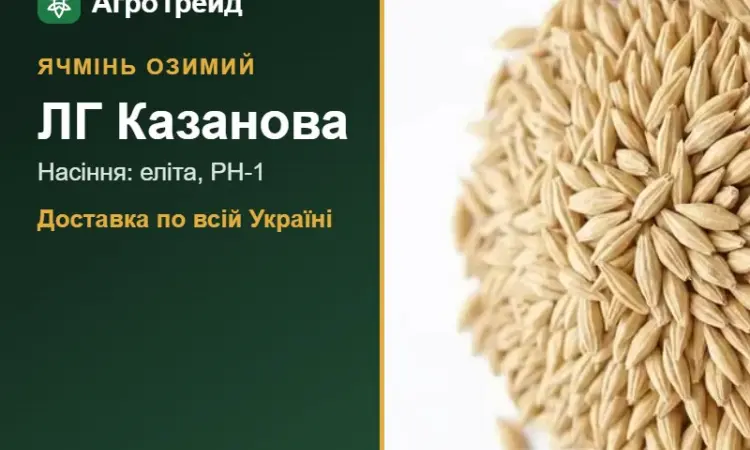 ЛГ Казанова — озимий ячмінь, насіння - фото № 1