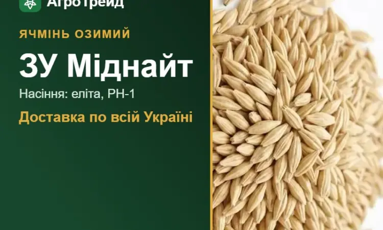 Насіння ячменю ЗУ Міднайт, від 14 800 грн/т - фото № 1