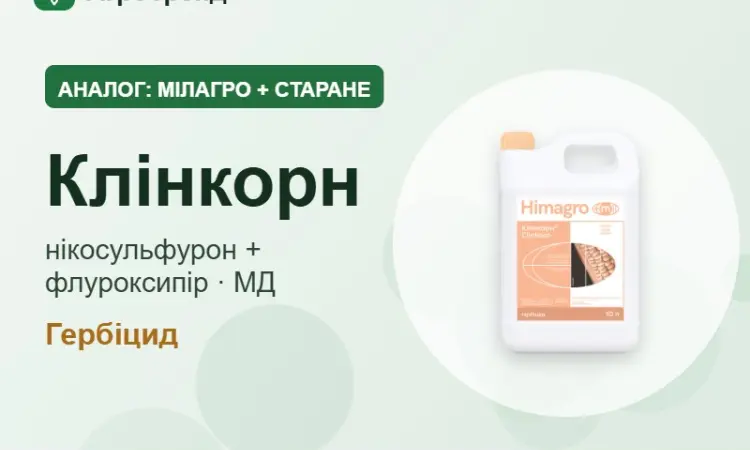 Мілагро + Старане аналог — Клінкорн - фото № 1