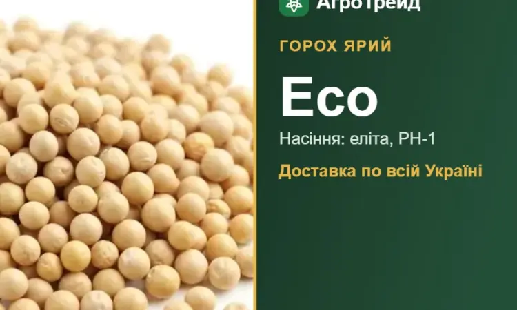 Насіння ярого гороху Есо - фото № 1