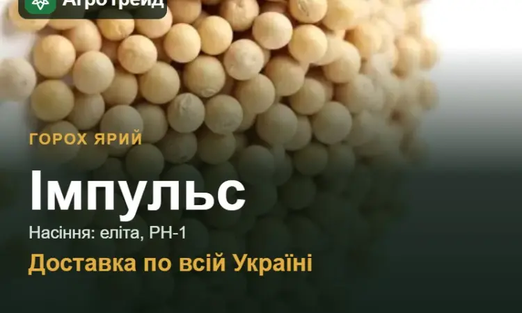 Імпульс — ярий горох, насіння, від 29 700 грн/т - фото № 1