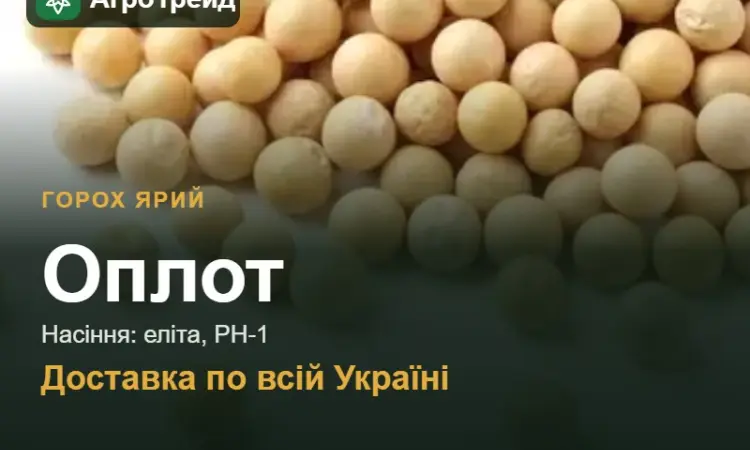Оплот — ярий горох, насіння - фото № 1