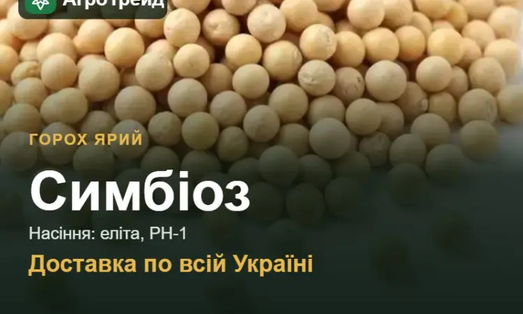 Насіння: горох ярий Симбіоз - фото № 1