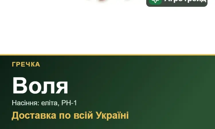 Посівна гречка Воля - фото № 1
