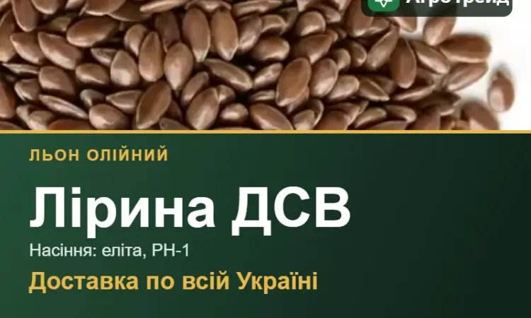 Насіння: льон олійний Лірина ДСВ - фото № 1