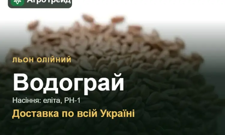 Льон олійний Водограй — насіння - фото № 1