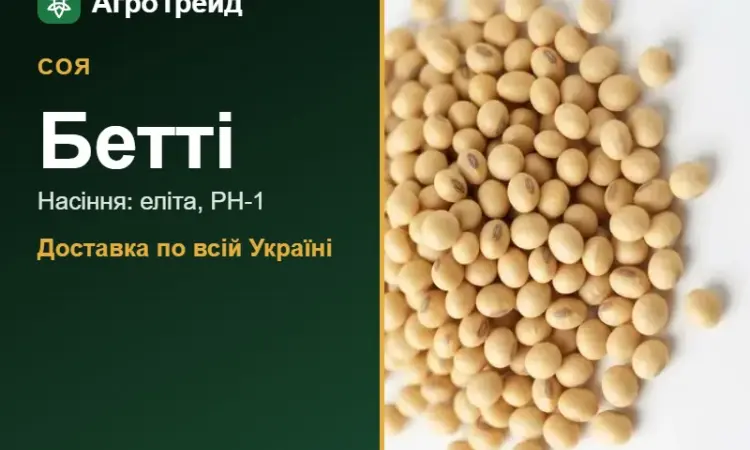 Насіння сої Бетті - фото № 1