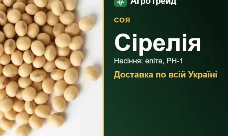 Насіння сої Сірелія - фото № 1