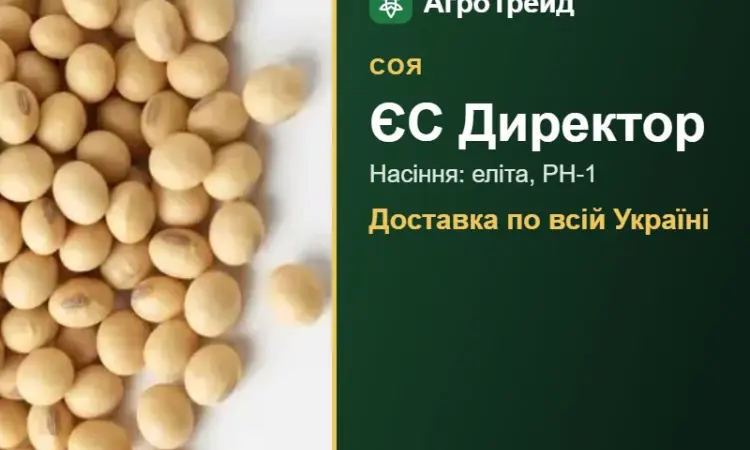 ЄС Директор — соя, насіння - фото № 1
