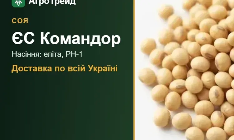 Соя ЄС Командор — насіння - фото № 1