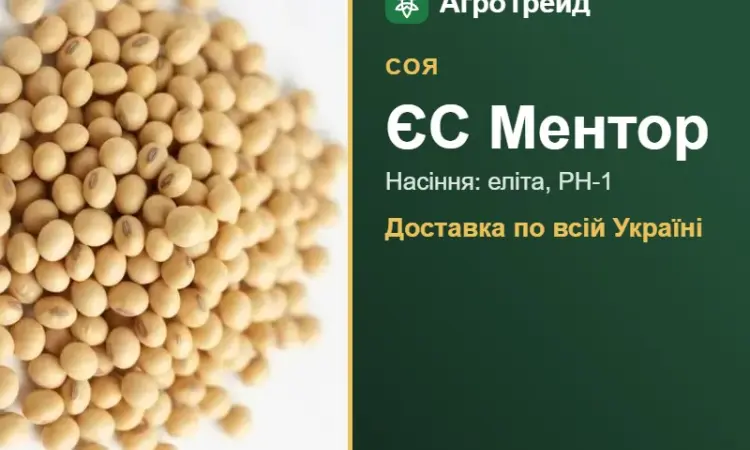 Соя ЄС Ментор — насіння - фото № 1