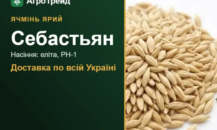 Себастьян — ярий ячмінь, насіння, від 16 700 грн/т - фото № 1