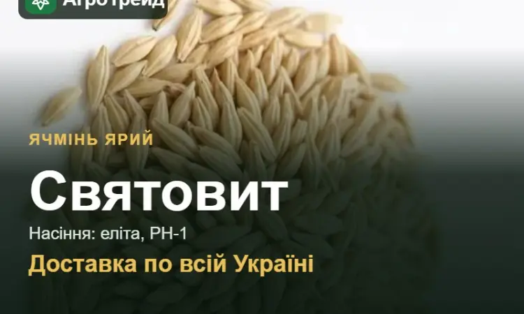 Насіння ярого ячменю Святовит - фото № 1