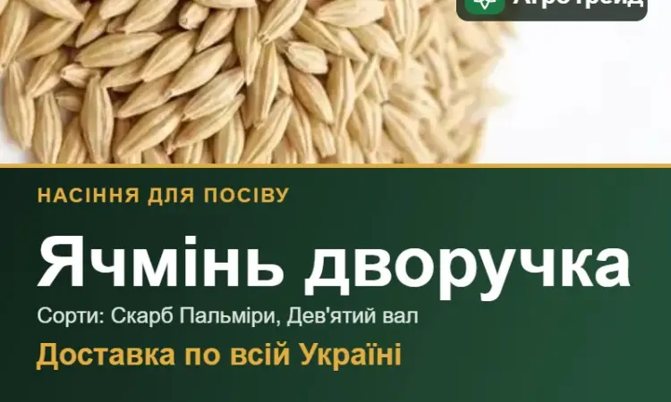 Продам насіння ячменю дворучки - фото № 1