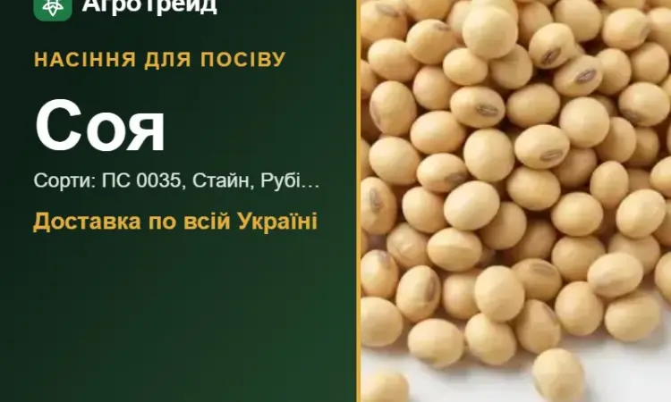 Продам насіння сої - фото № 1