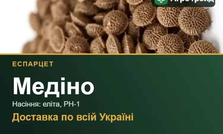 Купити насіння еспарцету Медіно - фото № 1