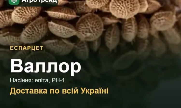 Продам насіння еспарцету Валлор - фото № 1