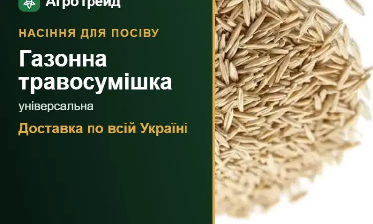 Продам: газонна травосумішка універсальна - фото № 1