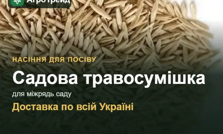 Продам: садова травосумішка для міжрядь саду - фото № 1